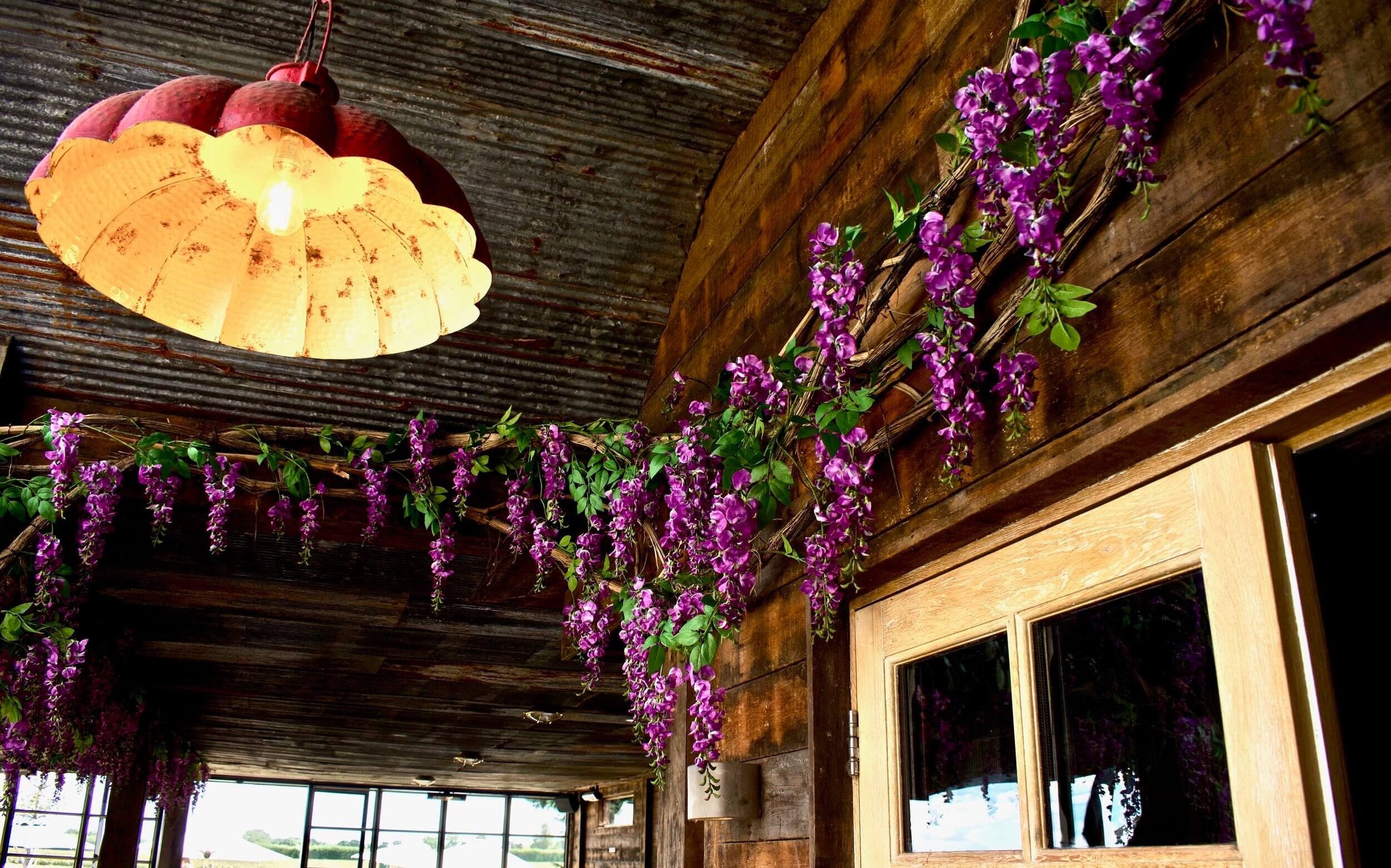 Hanging Plants