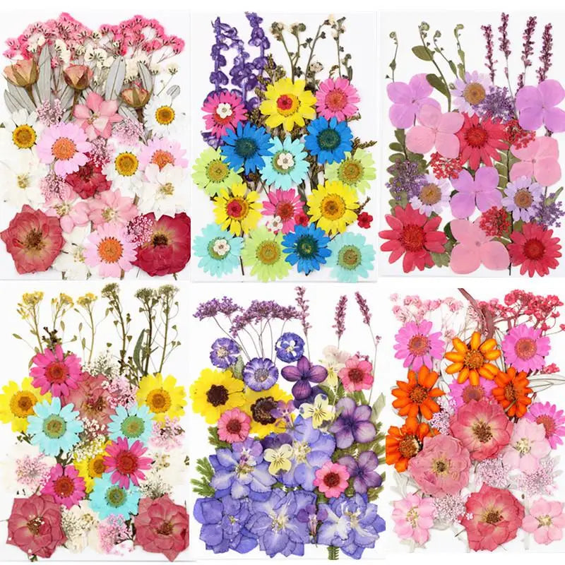 Dried Flower DIY Kit with UV Resin Beauty Decals - Pressed Flower Painting and Handmade Crafts