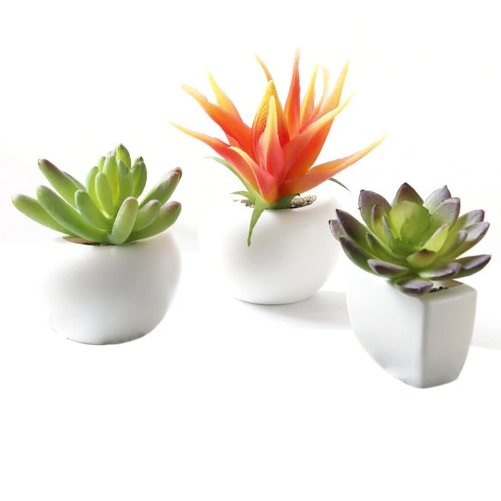 Magnetic Succulent Plant Pot Fridge Magnet Set