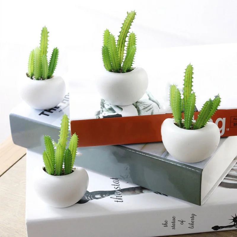 Magnetic Succulent Plant Pot Fridge Magnet Set