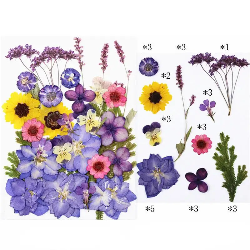 Dried Flower DIY Kit with UV Resin Beauty Decals - Pressed Flower Painting and Handmade Crafts