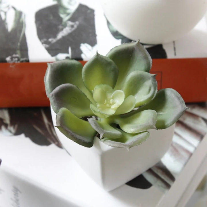 Magnetic Succulent Plant Pot Fridge Magnet Set