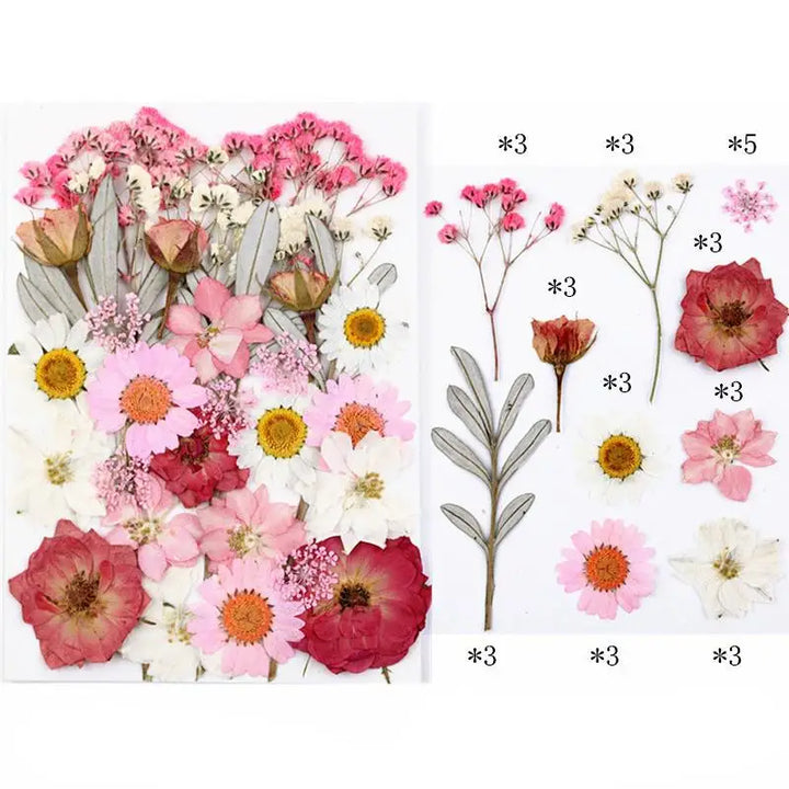 Dried Flower DIY Kit with UV Resin Beauty Decals - Pressed Flower Painting and Handmade Crafts