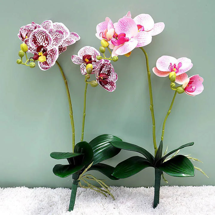 Elegant White Latex Butterfly Orchid Artificial Flower for Sophisticated Home Decor