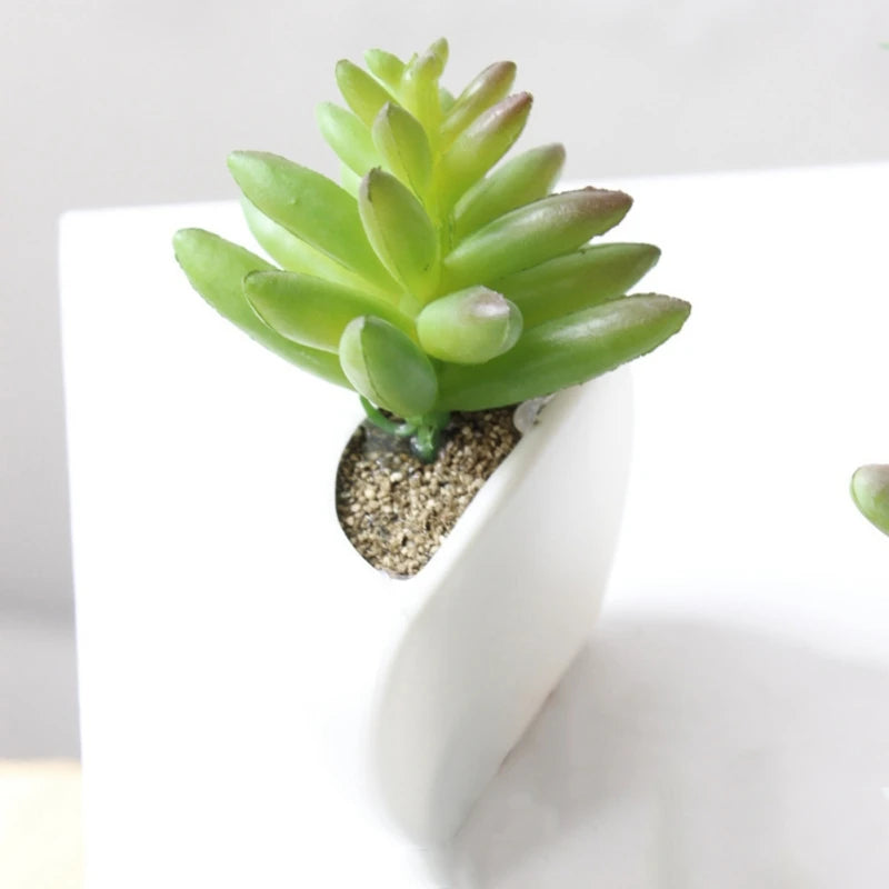 Magnetic Succulent Plant Pot Fridge Magnet Set