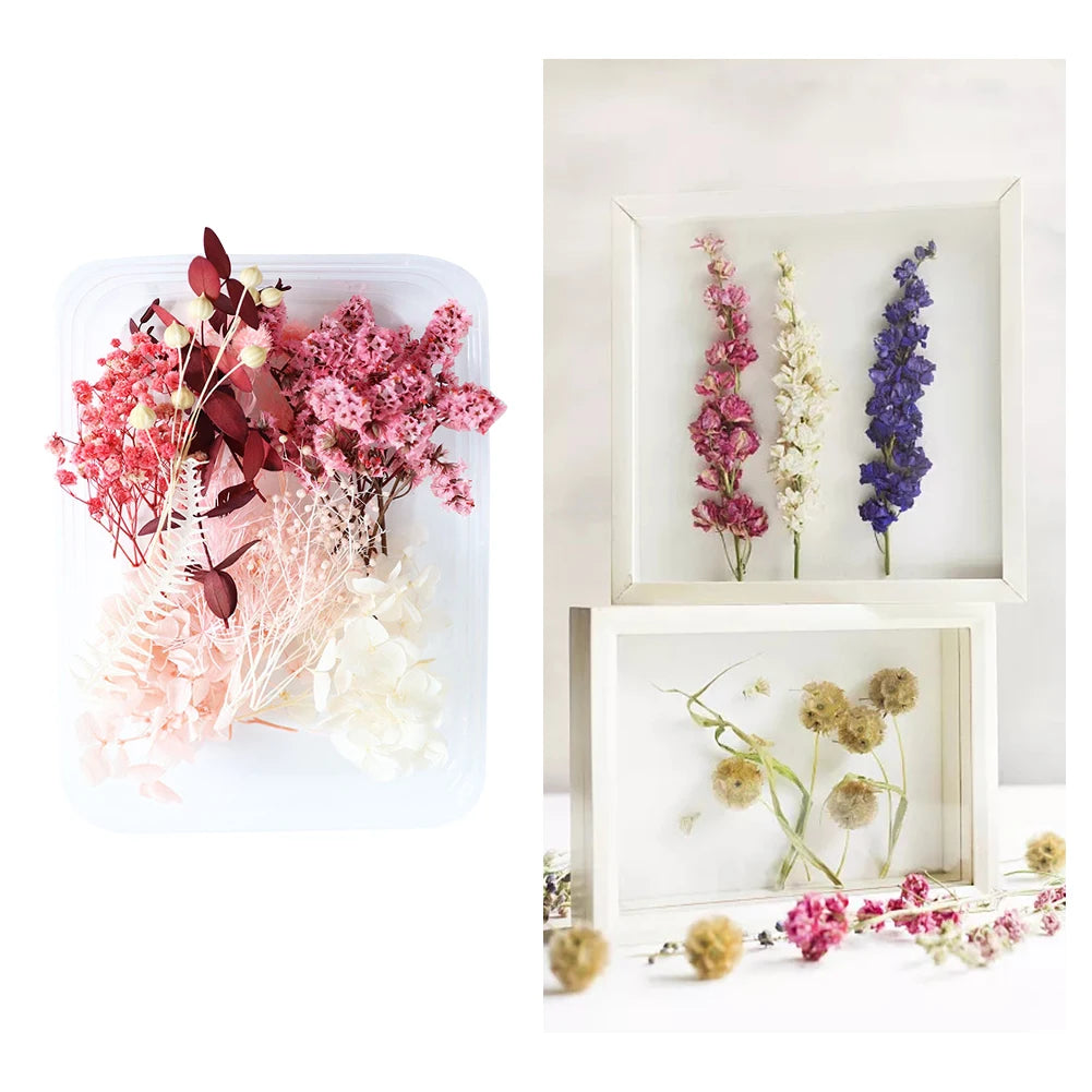 Eternal Blossom DIY Dried Flower Kit for Home and Office Decor Crafting