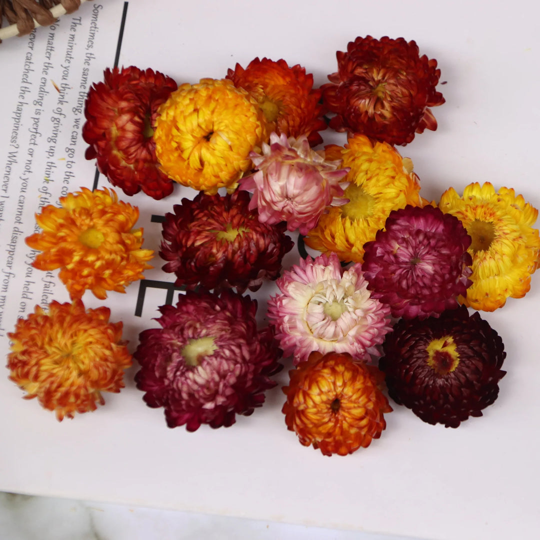 100pcs Handmade Natural Dried Flower Mix