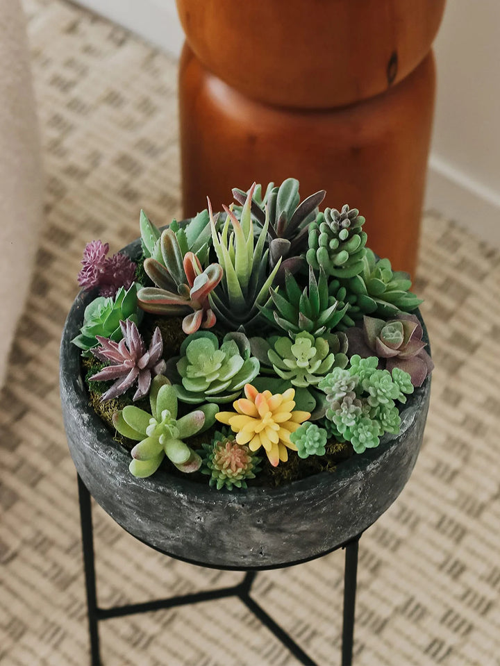 Realistic Faux Succulent Plants Set for Home and Office Decor