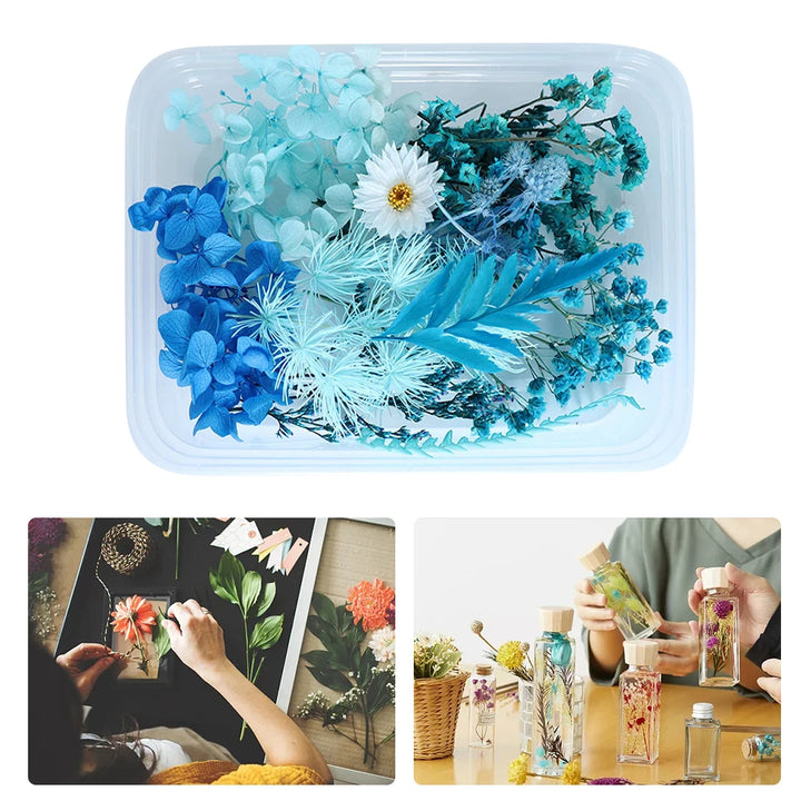 Eternal Blossom DIY Dried Flower Kit for Home and Office Decor Crafting