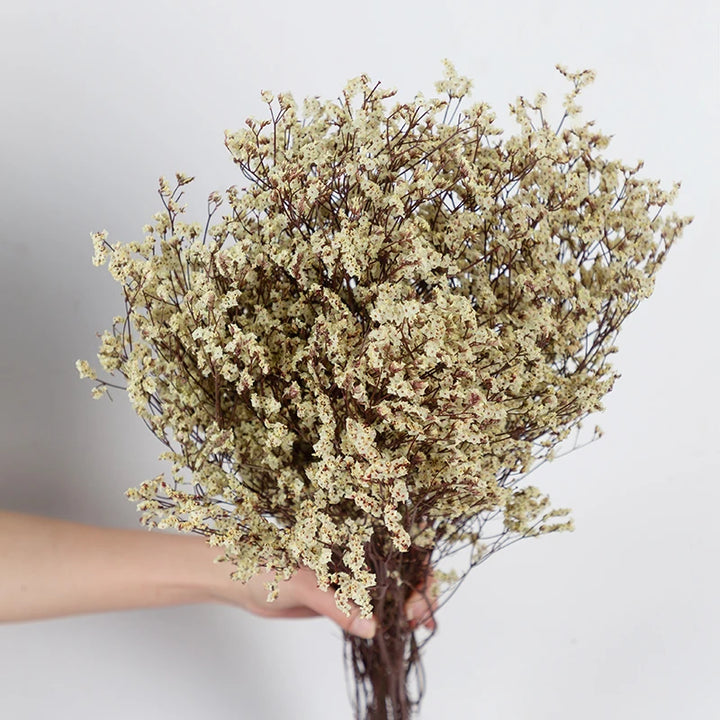 Everlasting Love Natural Dried Hydrangea Flower Arrangement for Home and Wedding Decor