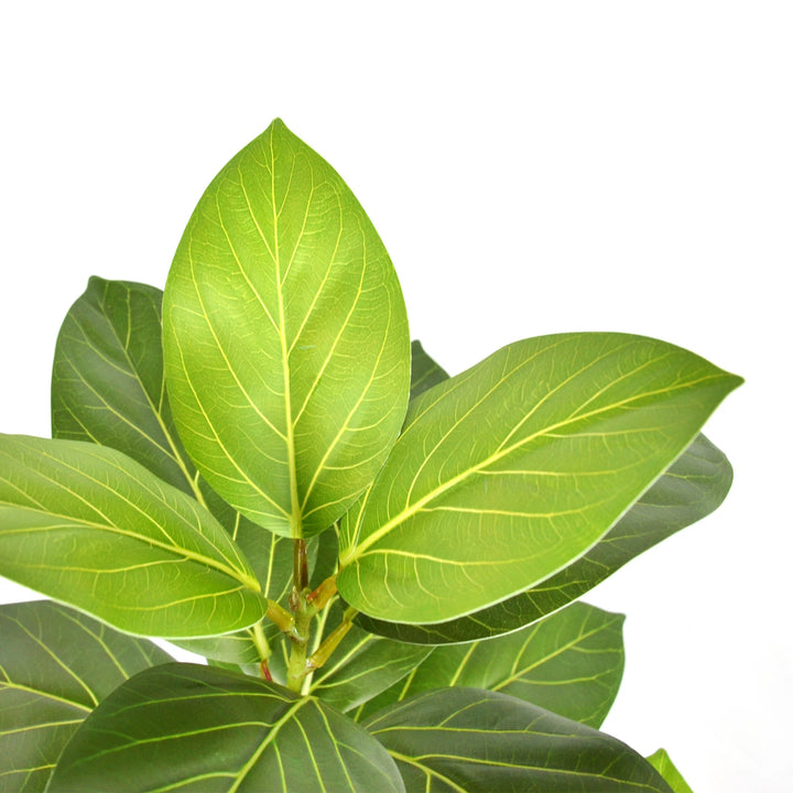 Artificial Ficus Tree with Tropical Banyan Leaves - Indoor Outdoor Decor