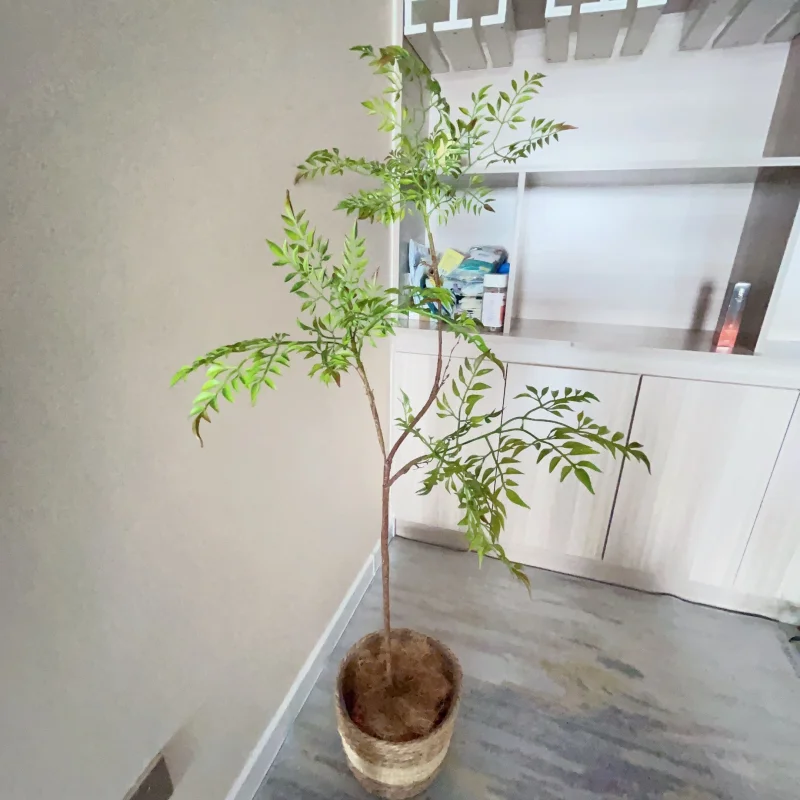 Tropical Bamboo Leaf Bonsai Tree for Home Decor