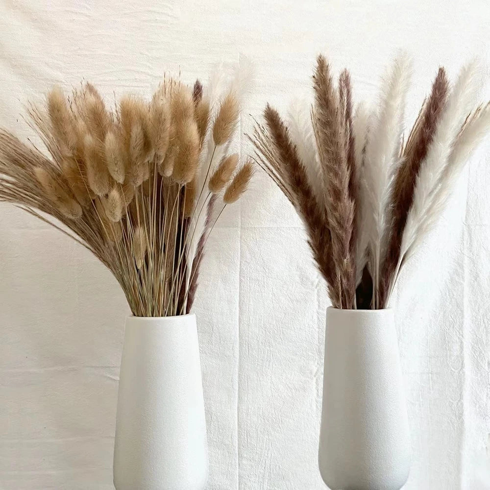 Boho Chic Dried Pampas Grass Set for Home Decor and Events