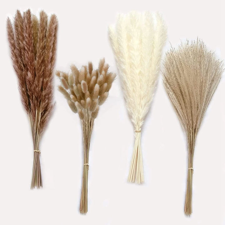 Boho Chic Dried Pampas Grass Set for Home Decor and Events