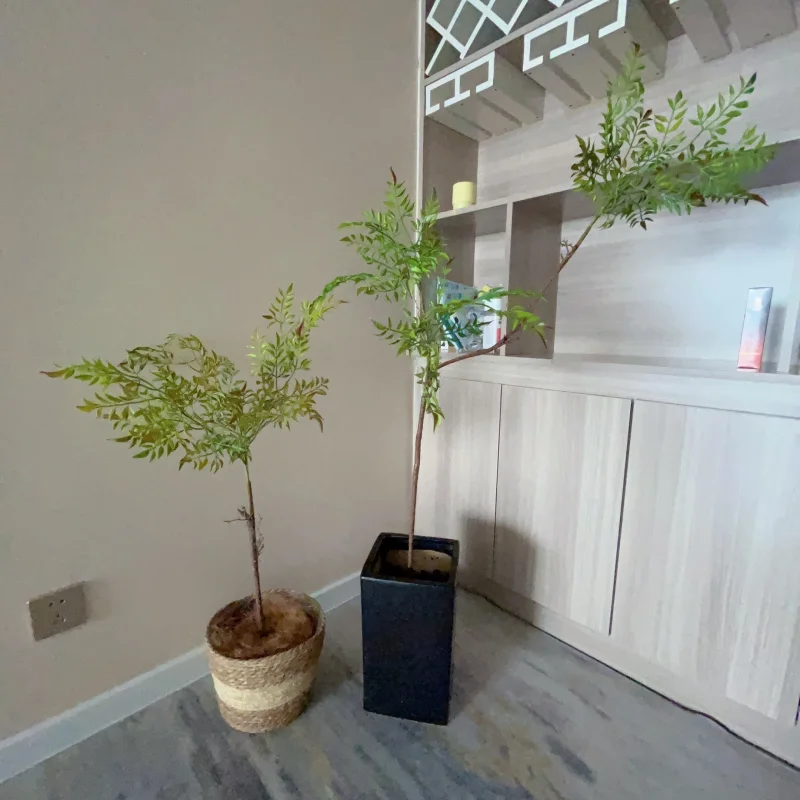 Tropical Bamboo Leaf Bonsai Tree for Home Decor