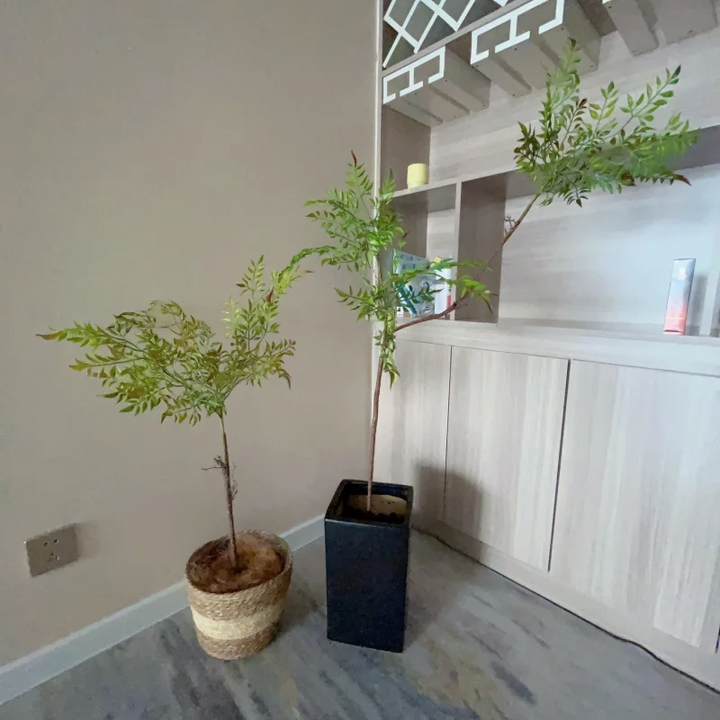 Tropical Bamboo Leaf Bonsai Tree for Home Decor