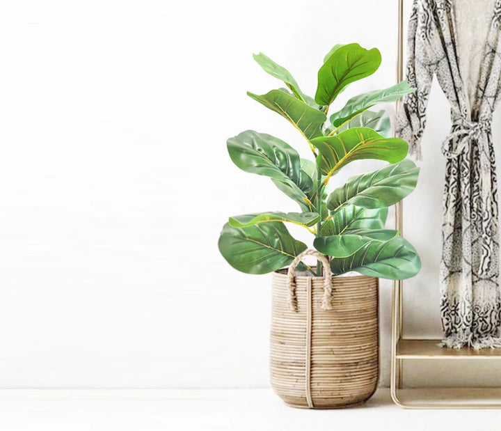 Little Artificial Fiddle Leaf Fig Tree - Home & Office Decoration