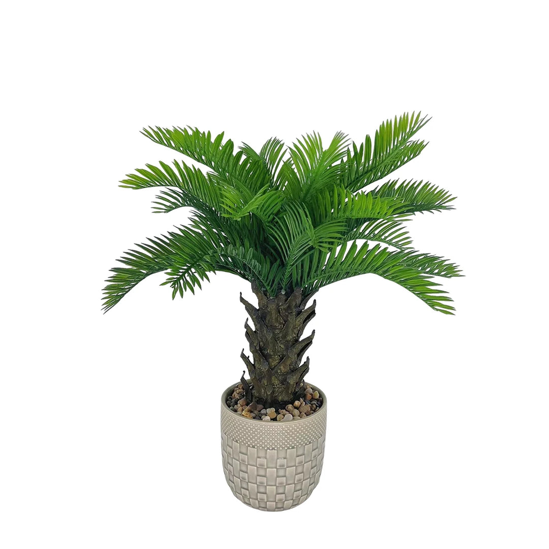 Tropical Coconut Palm Bonsai Tree with Stone and Ceramic Flowerpot - Versatile Indoor/Outdoor Decor Piece