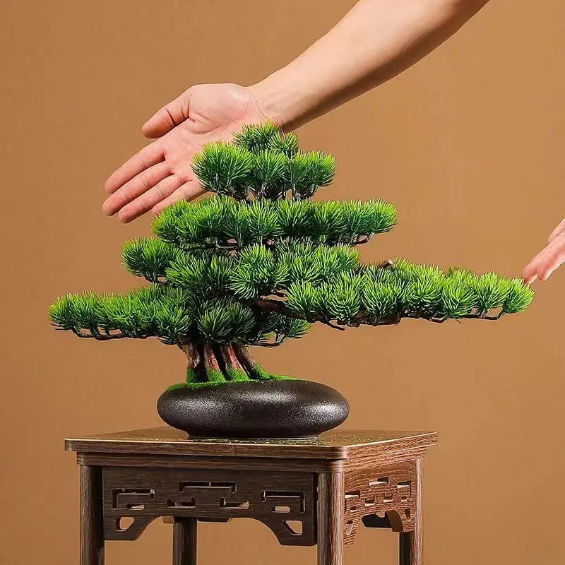 Natural Wood Root Base Bonsai Tree for Home Decor