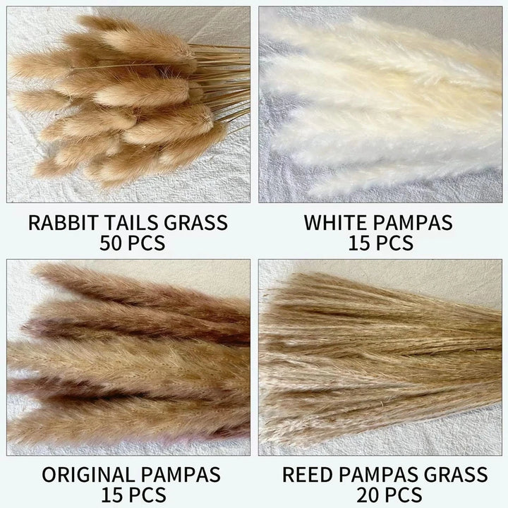 Boho Chic Dried Pampas Grass Set for Home Decor and Events