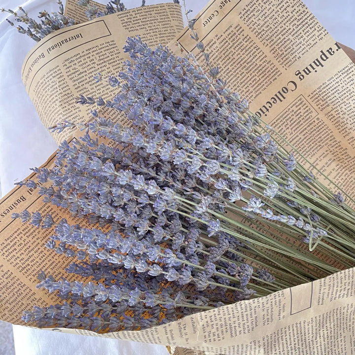 Eternal Lavender Bliss: Premium Quality Dried Lavender Flower Bundle for Home and Event Decor