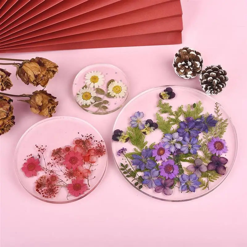 Dried Flower DIY Kit with UV Resin Beauty Decals - Pressed Flower Painting and Handmade Crafts