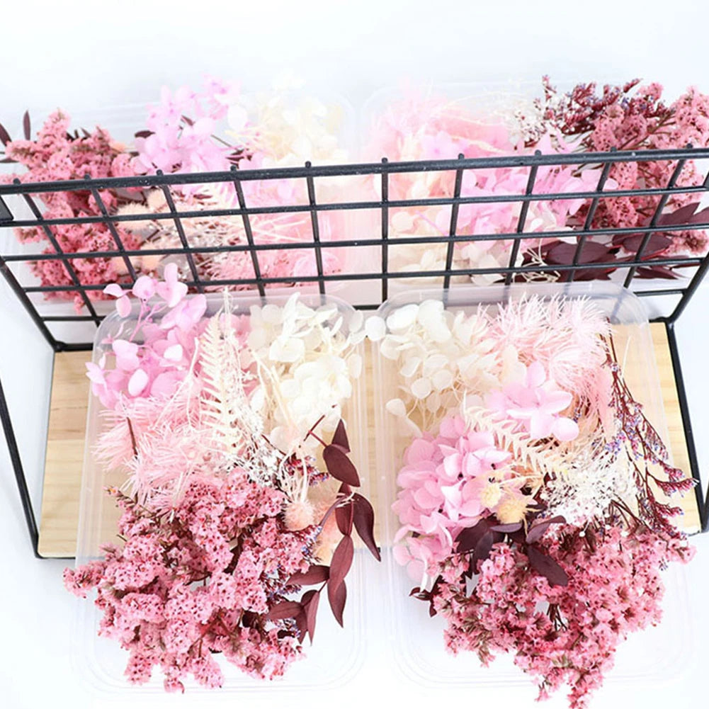 Eternal Blossom DIY Dried Flower Kit for Home and Office Decor Crafting