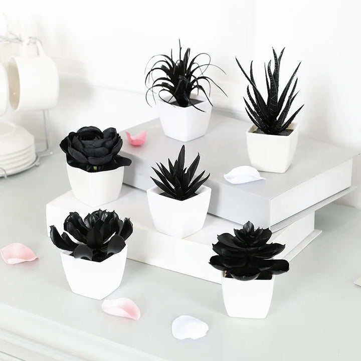 6-Piece Artificial Succulent Bonsai Set in Sleek Black for Stylish Home and Office Decor