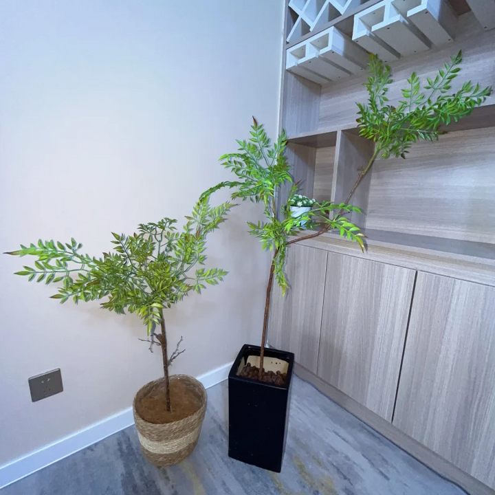 Tropical Bamboo Leaf Bonsai Tree for Home Decor