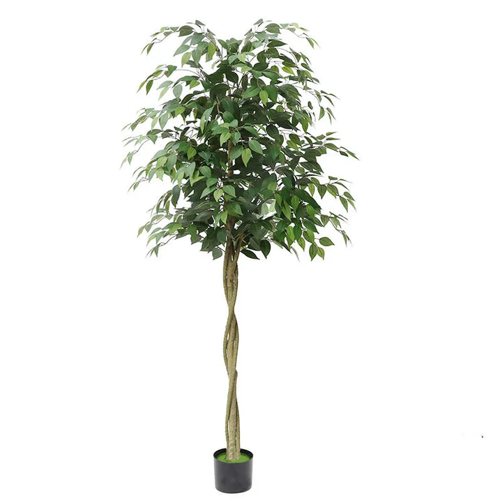 Artificial Ficus Tree - Realistic Green Plant Bonsai - 120/150/180/210cm