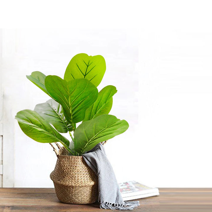 Artificial Ficus Tree - Nordic Style Potted Plant