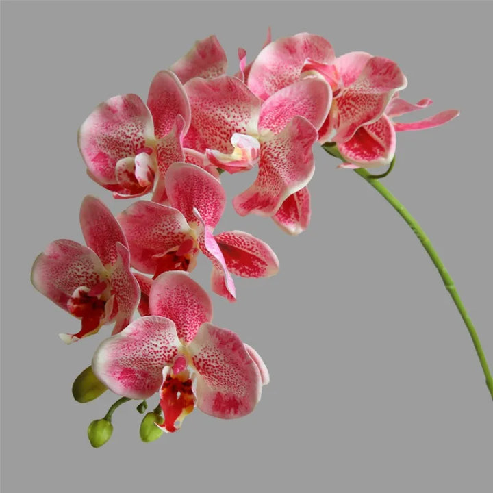 Luxurious 3D Butterfly Orchid Artificial Plant - Moisturizing Hand Feel Floral Decor