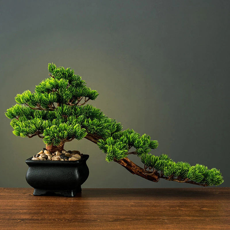 Natural Wood Root Base Bonsai Tree for Home Decor