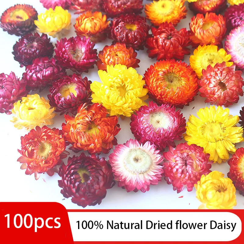 100pcs Handmade Natural Dried Flower Mix