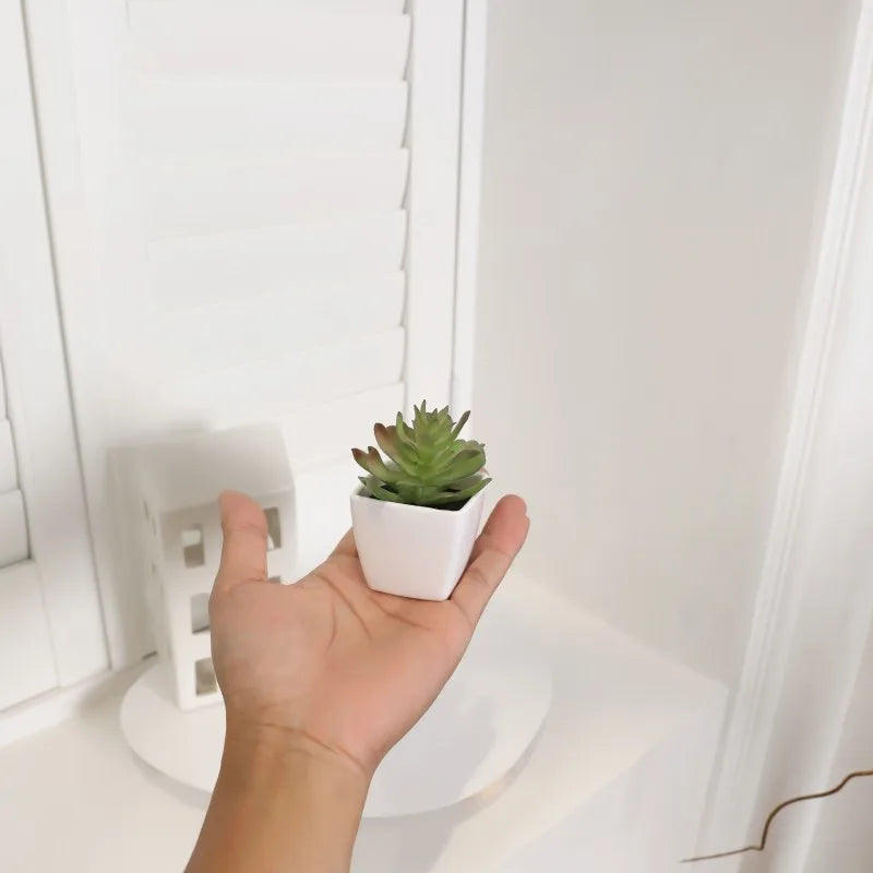 Succulent Paradise: Set of 6 Mini Artificial Plants for Stylish Home Decor