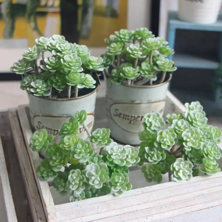 Simulation Succulent Plant - Realistic Artificial Decor for Home Living Room