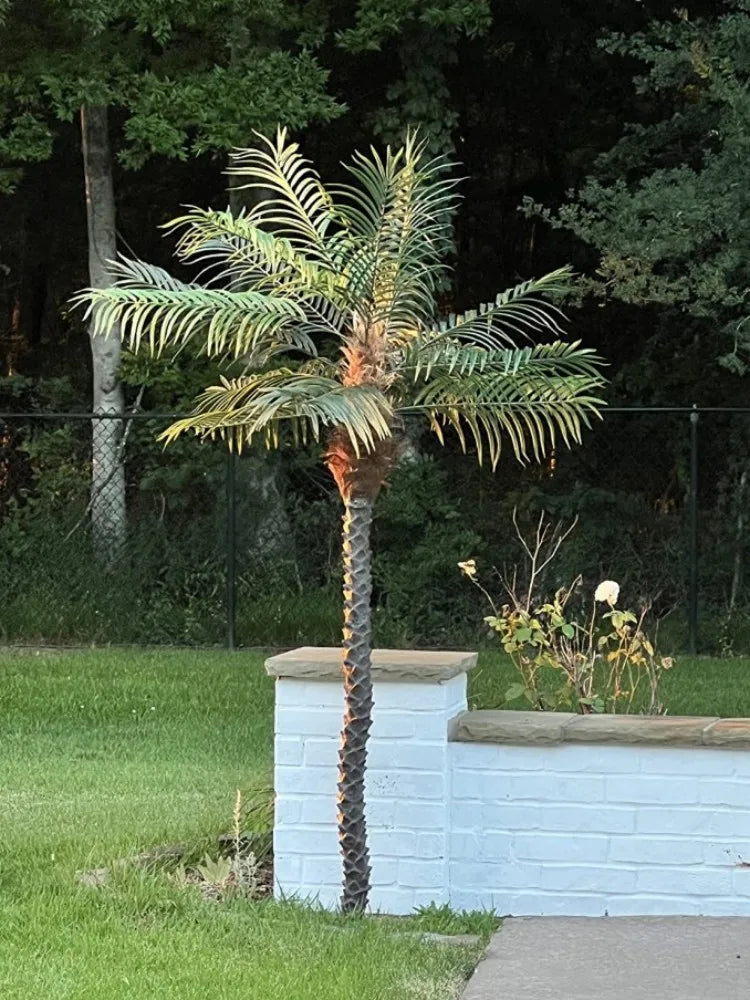 Artificial Phoenix Palm Tree - 190/220cm - Tropical Indoor/Outdoor Decor