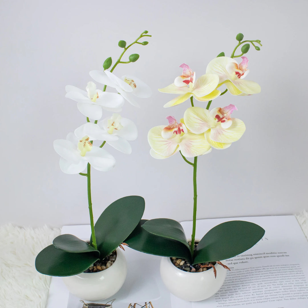 Elegant Orchid Bonsai Set for Home Decor