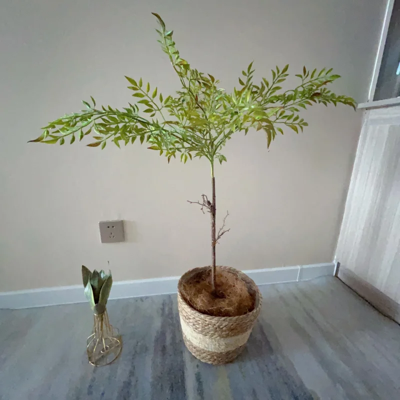 Tropical Bamboo Leaf Bonsai Tree for Home Decor