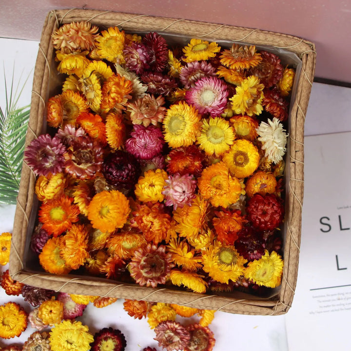 100pcs Handmade Natural Dried Flower Mix