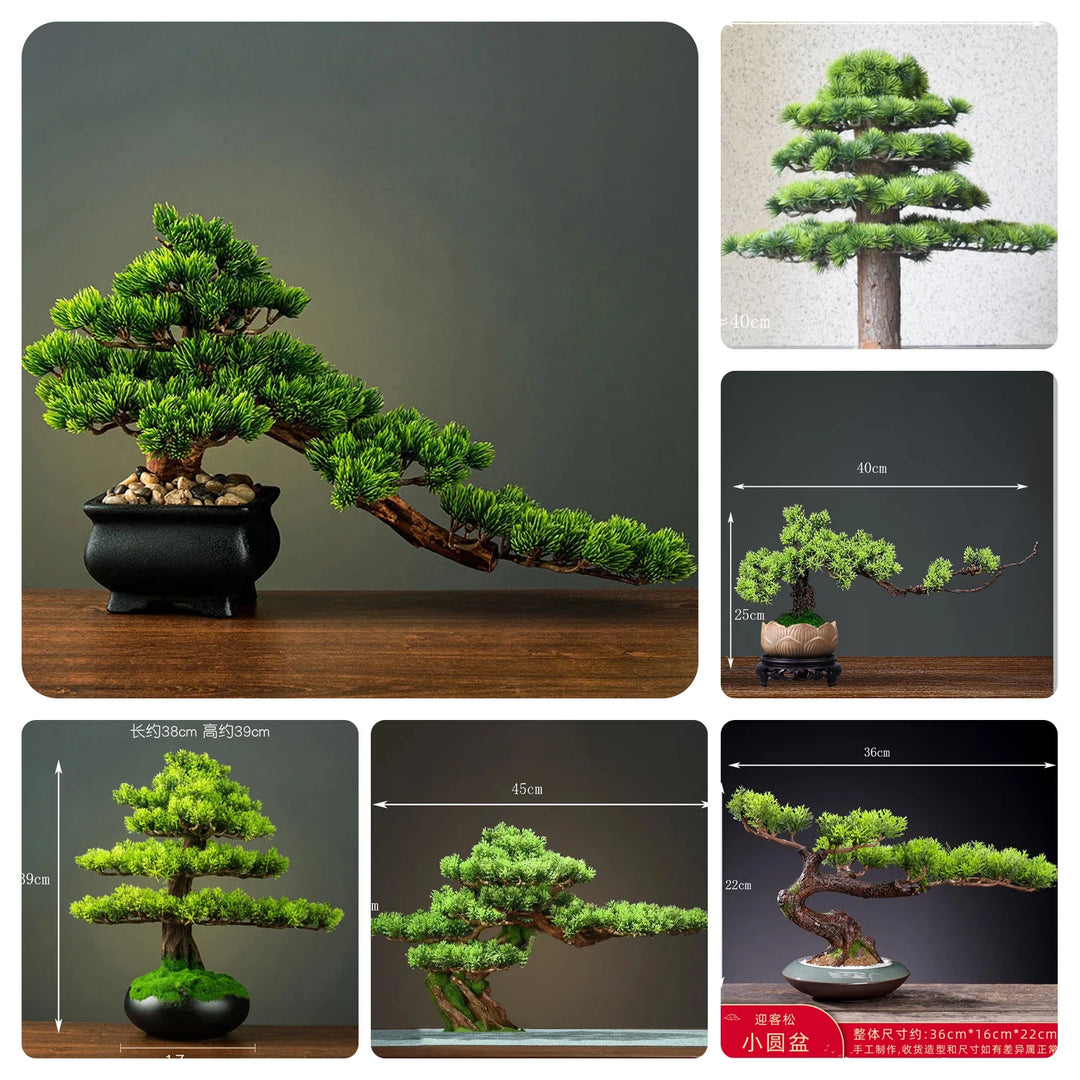 Natural Wood Root Base Bonsai Tree for Home Decor