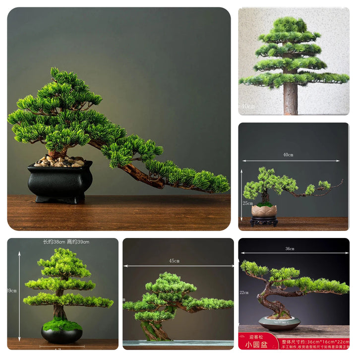 Natural Wood Root Base Bonsai Tree for Home Decor