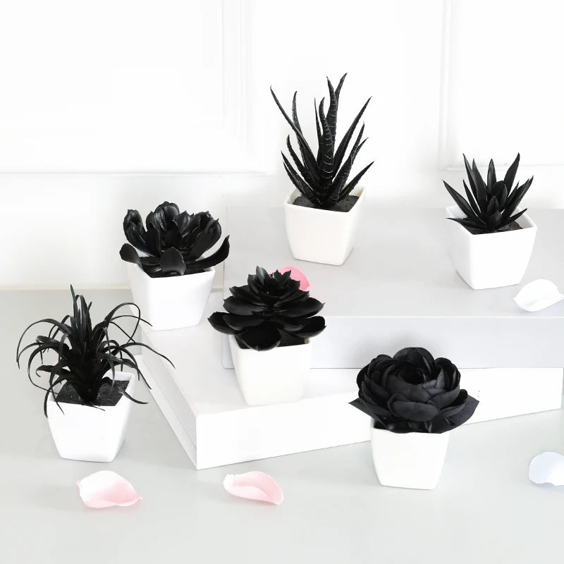 6-Piece Artificial Succulent Bonsai Set in Sleek Black for Stylish Home and Office Decor