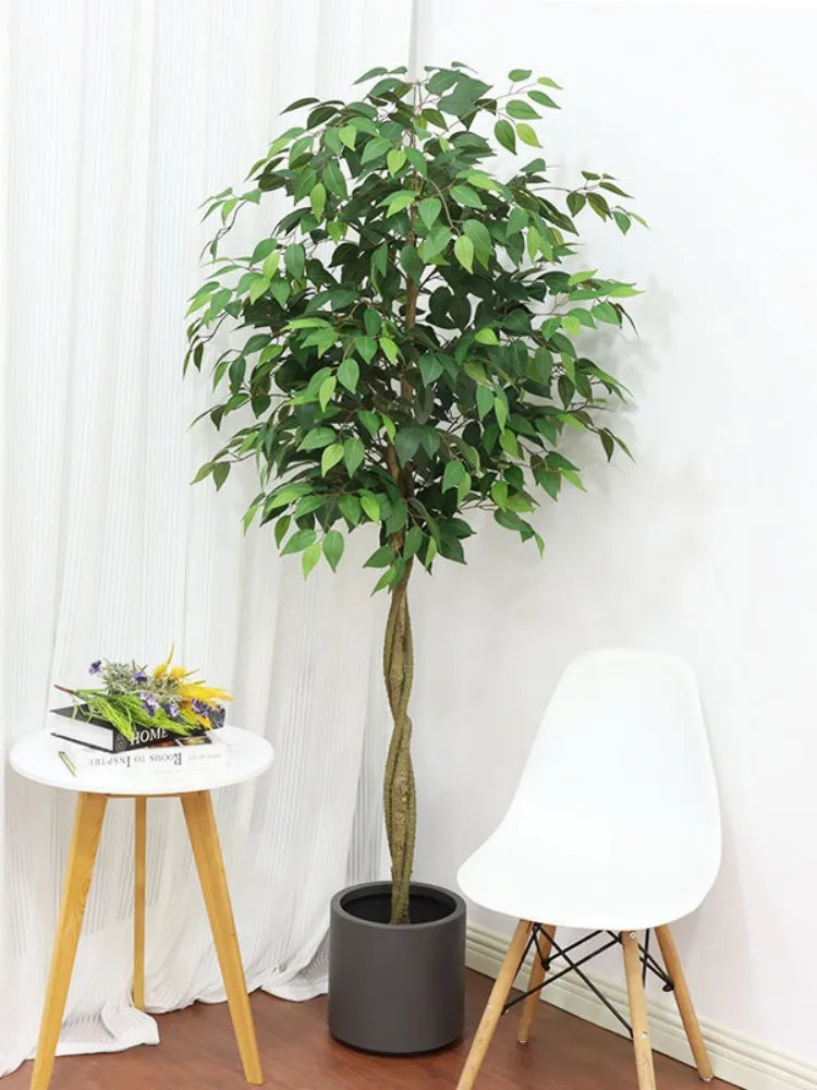 Artificial Ficus Tree - Realistic Green Plant Bonsai - 120/150/180/210cm