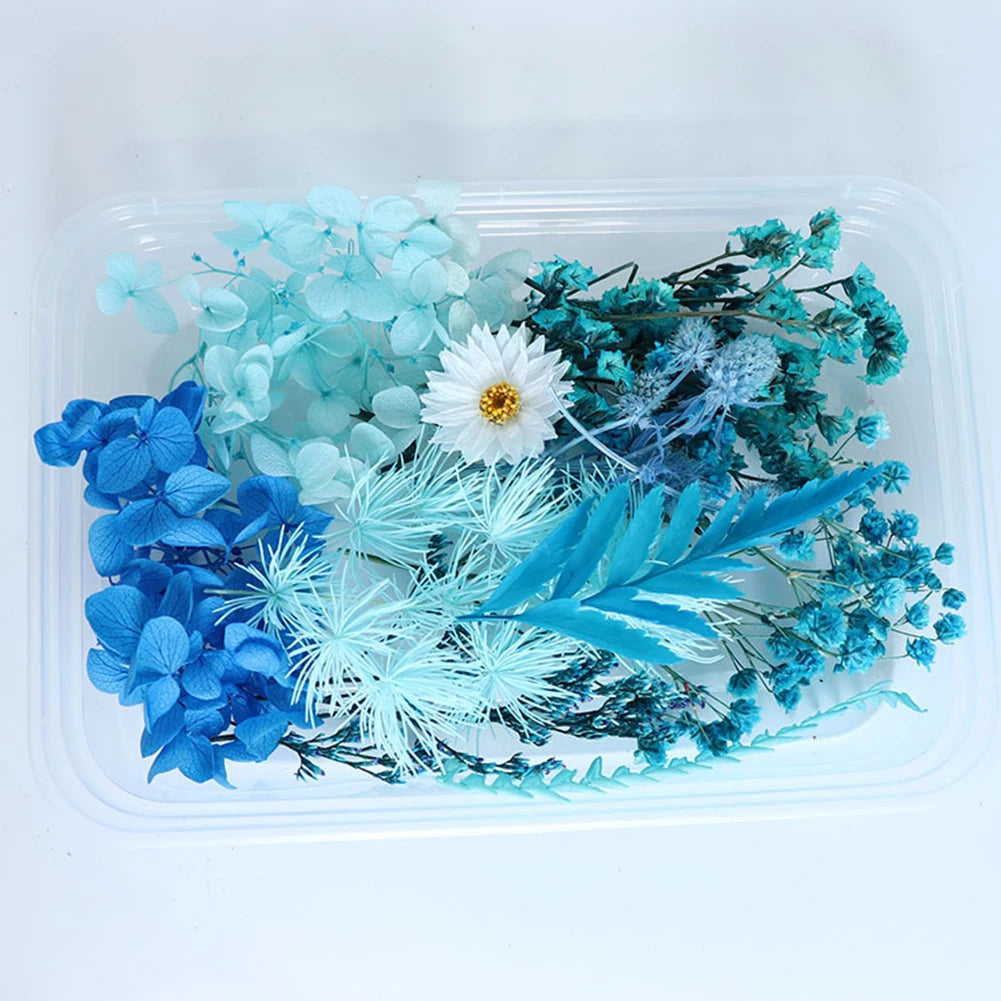 Eternal Blossom DIY Dried Flower Kit for Home and Office Decor Crafting