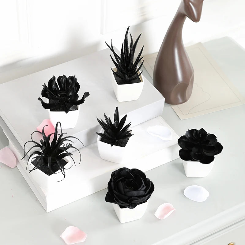 6-Piece Artificial Succulent Bonsai Set in Sleek Black for Stylish Home and Office Decor