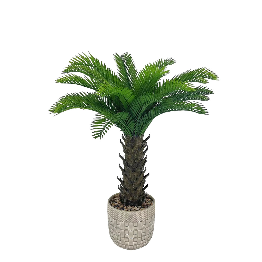 Tropical Coconut Palm Bonsai Tree with Stone and Ceramic Flowerpot - Versatile Indoor/Outdoor Decor Piece