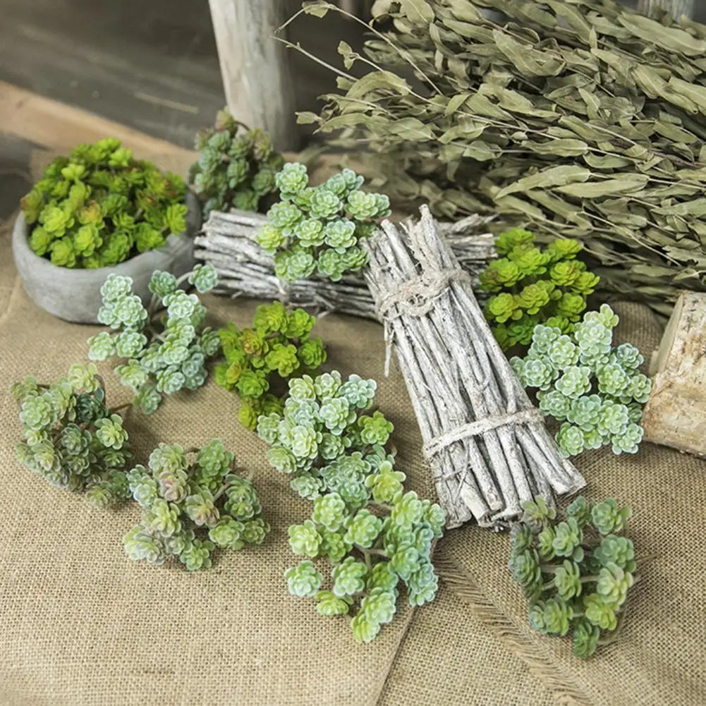 Simulation Succulent Plant - Realistic Artificial Decor for Home Living Room