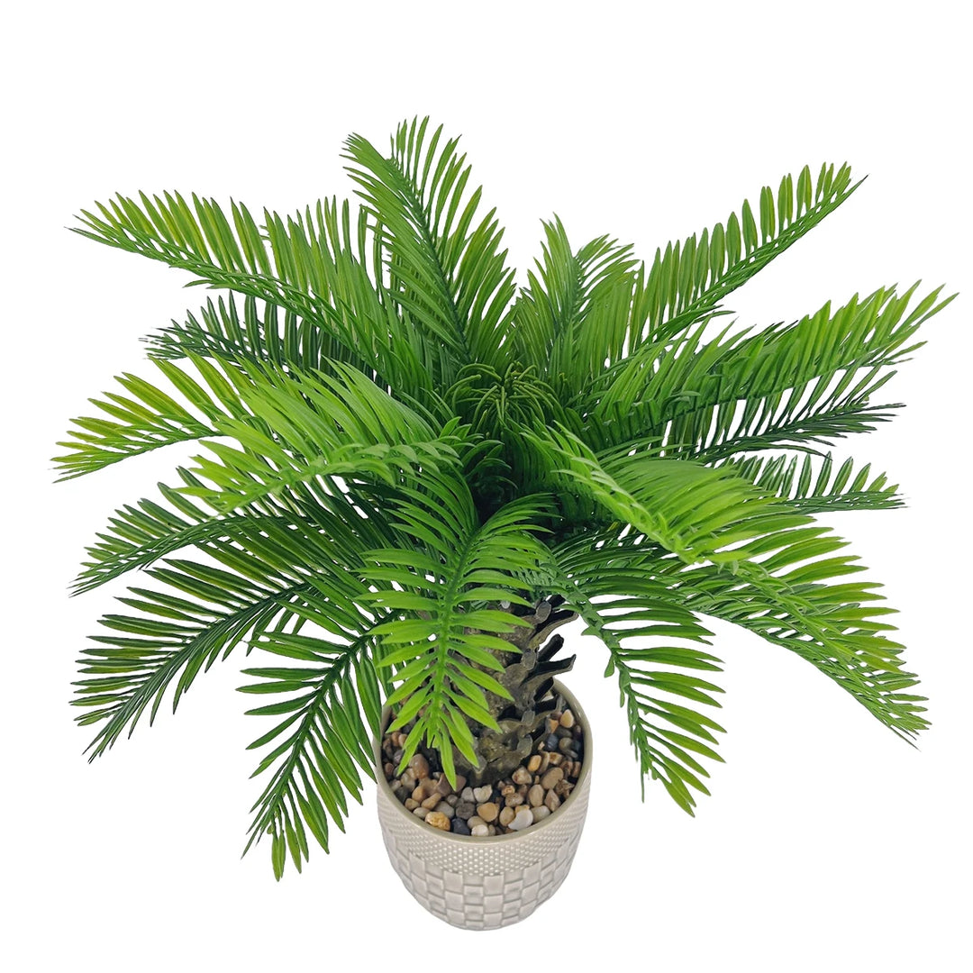 Tropical Coconut Palm Bonsai Tree with Stone and Ceramic Flowerpot - Versatile Indoor/Outdoor Decor Piece