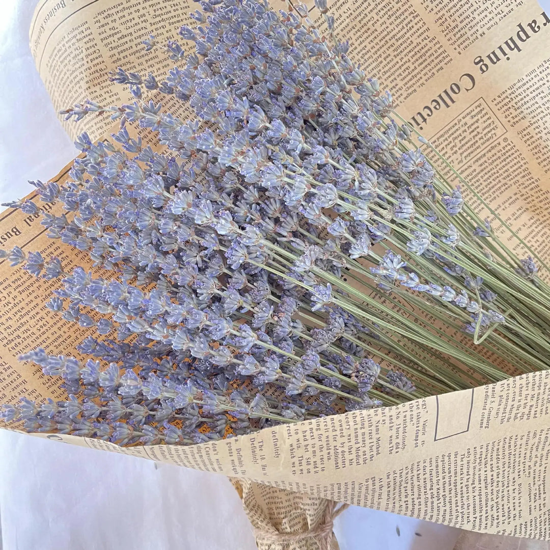 Eternal Lavender Bliss: Premium Quality Dried Lavender Flower Bundle for Home and Event Decor